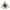 HOLYGHOST MONOGRAM HOODIE